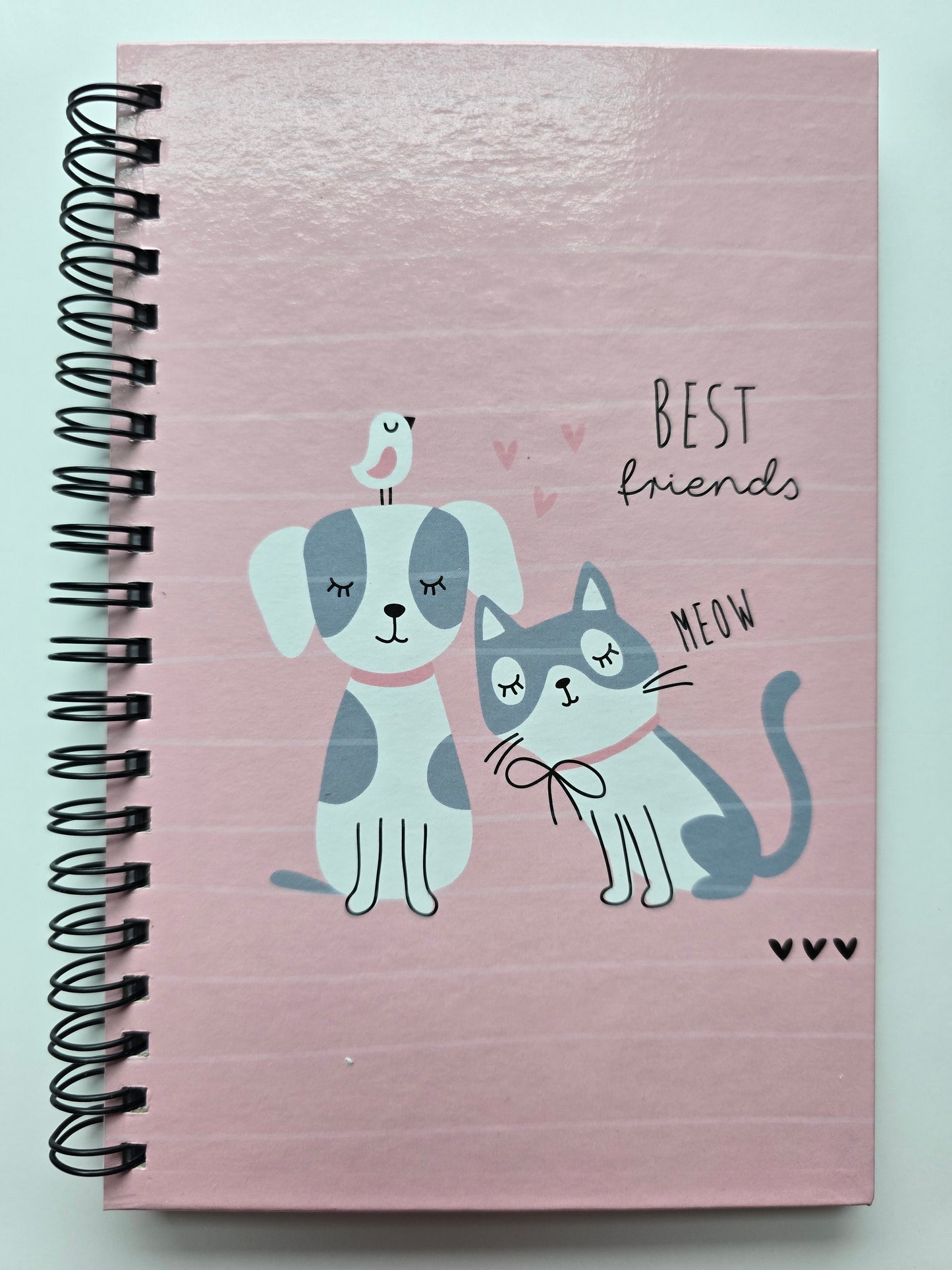 Cat&Dog Spiral Journal- Kids Mystery Box