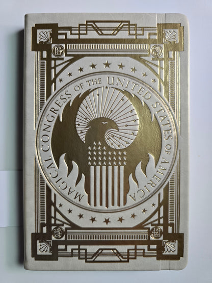 A5- Fantastic Beasts Macusa Journal- 20 Item Mystery Box