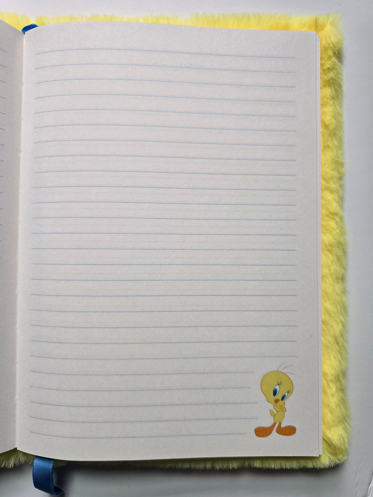 A5-ish Twenty Bird Journal- 20 Item Mystery Box